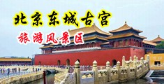 操逼插入穴里操视频中国北京-东城古宫旅游风景区